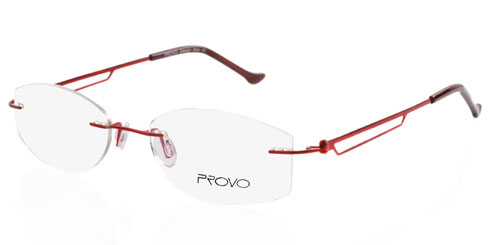 Provo PR8005 C05 - Frames & Spectacles