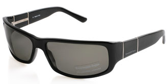 Ermenegildo Zegna SZ3507 C700