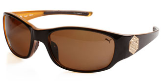 Buy Frames Between £71 to £100 - Puma PU15094P BR
