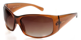 Buy Frames Between �41 to �50 - Safari PD23025 COL 3