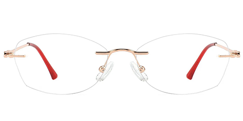 Optically F4482 1
