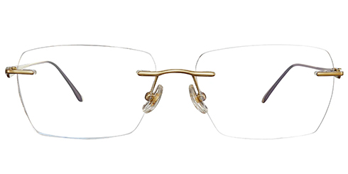 Optically F5461 1