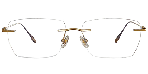Optically F5463 2