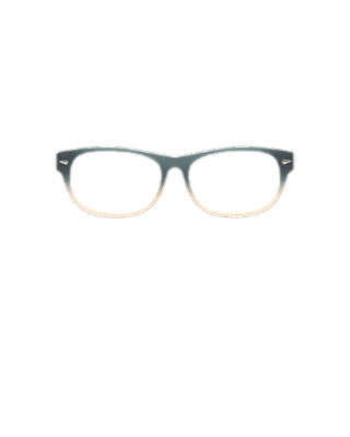 Ombre prescription glasses shop